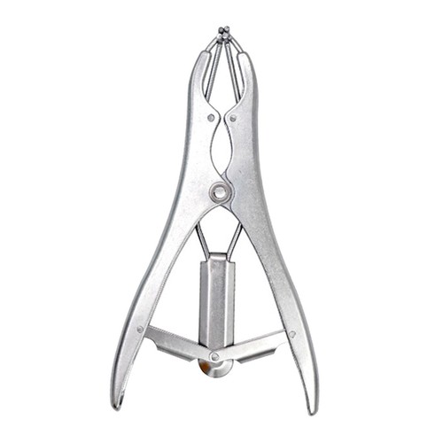 Castration forceps veterinary - forceps,