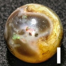 Precious Opal Beads 10.3mm I