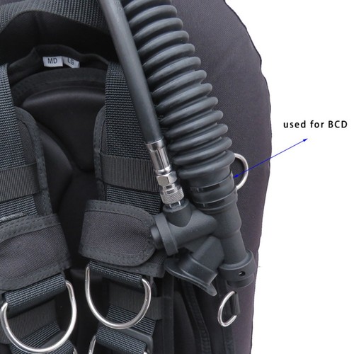 Dive with ease 10pcs - with,