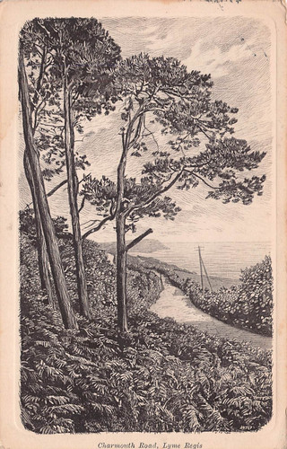 Lyme regis charmouth road - lyme,