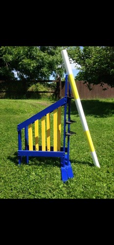Dog agility jump - agility,