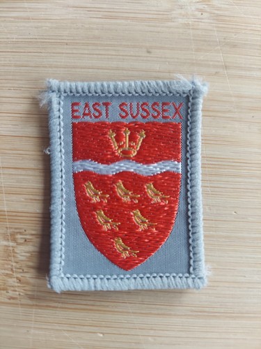 Scouting district badge - scouting,