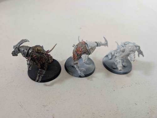 Skaven rat ogors - rat,