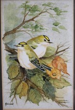 Watercolour Painting Goldcrest Bird Ornithology by Dominique Audurier original
