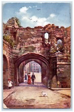 1907 Dog Crowd Old Leicester