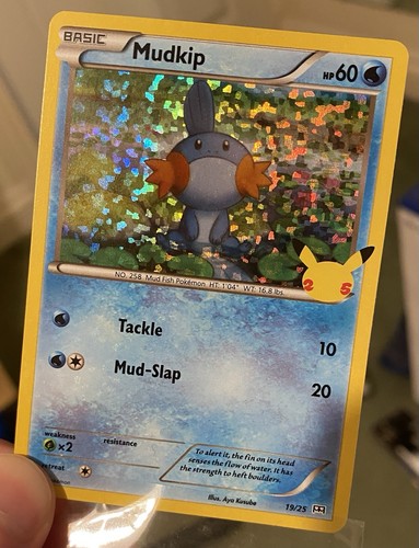 Pokémon tcg mudkip 25 - pokémon,