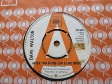 DAVE WALTON ~ AFTER YOU THERE