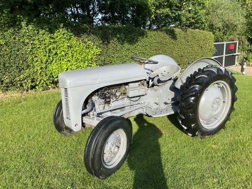 Grey ferguson tractor - ferguson,