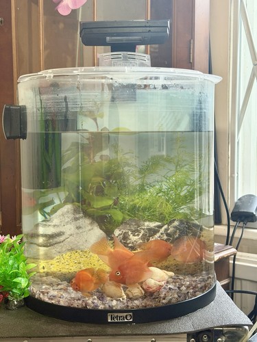 Tetra aquaart led explorer - tetra,