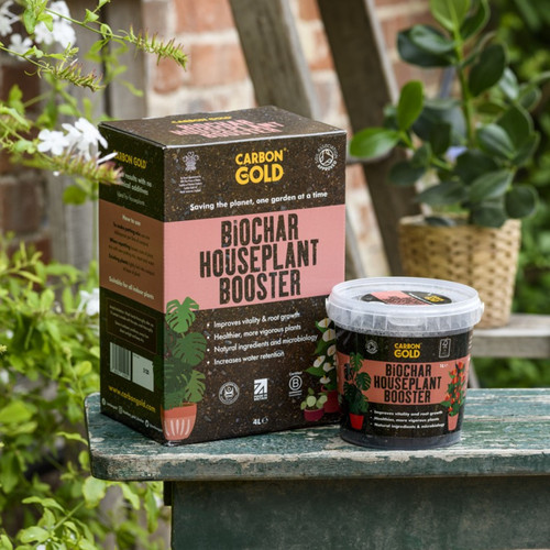 Carbon gold biochar - biochar, houseplant