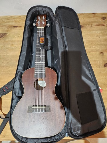 Brunswick bu4c concert ukulele - brunswick,