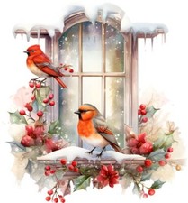 Christmas Robin Bird Window