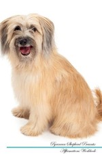 Pyrenean Shepherd Affirmations