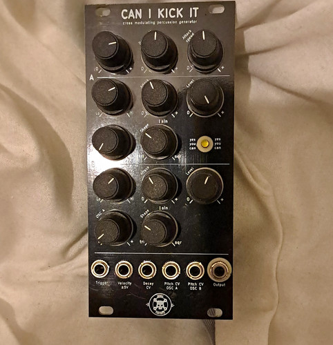Skull and circuits - skull,