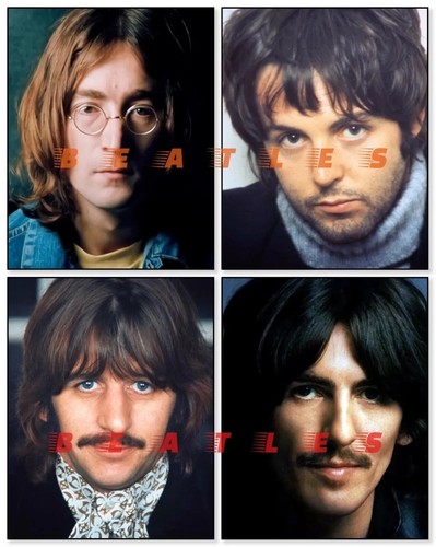 The beatles white album - the,