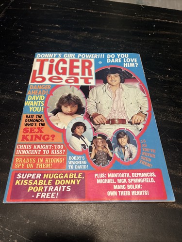 Oct 1972 tiger beat - tiger,