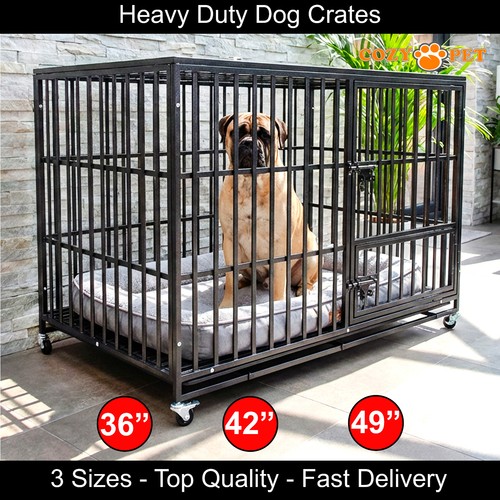 Cozy pet heavy - pet,