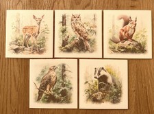 Notelets pk5 woodland animals - notelets,