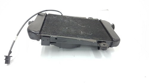 Water radiator honda - honda, sh