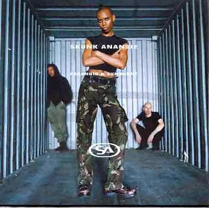 Skunk anansie paranoid and - skunk,