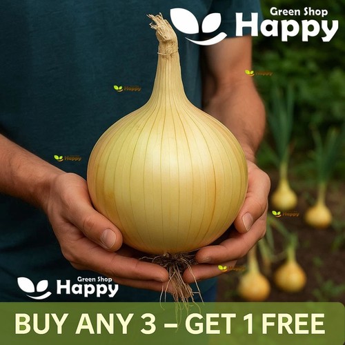 Onion ailsa craig 200 seeds - craig,