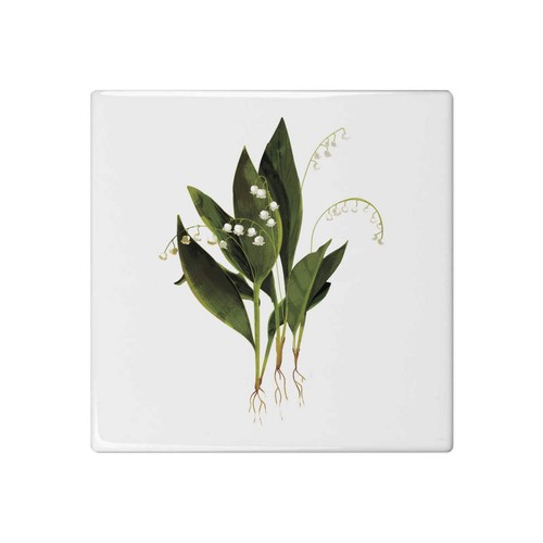 Lily the valley - of,