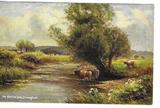 Essex postcards the old - essex,