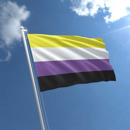 Non binary pride - pride, 5ft