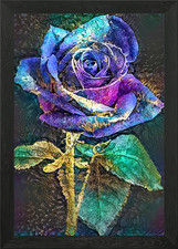 Blue Moon Rose Framed Wall Art
