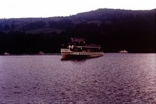 Lakeside windermere swan - lakeside,