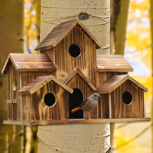 Bird house for outside - house,