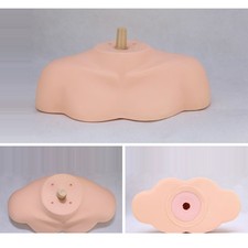 Head Shoulders Female Mannequin Shoulder Mannequin Head Stand Support Holder
