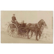 SOCIAL HISTORY Edwardian