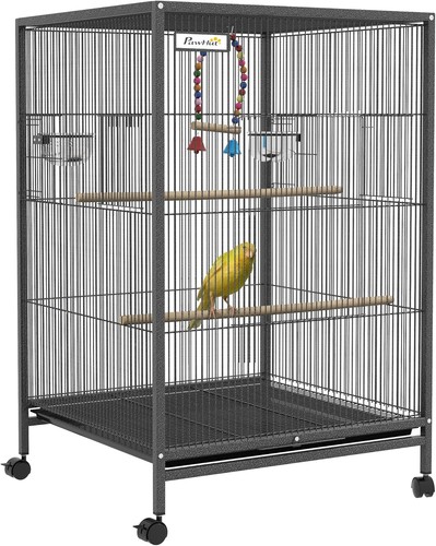 Bird cage budgie - bird, cage,