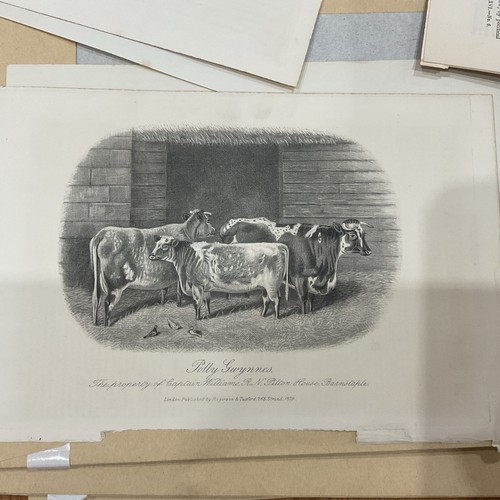 Farming print 1879 polly - print,