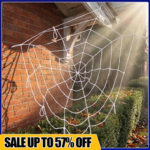 Halloween decoration spider - decoration,