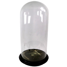 Antique Glass Display Dome English Taxidermy Showcase Victorian h52cm c1890