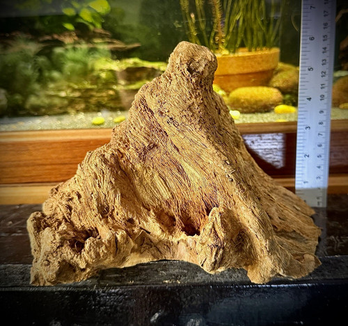 Large natural aquarium - large,