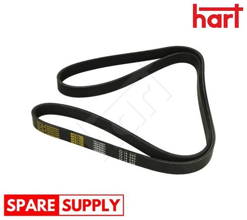 Ribbed belt for opel - v-ribbed,