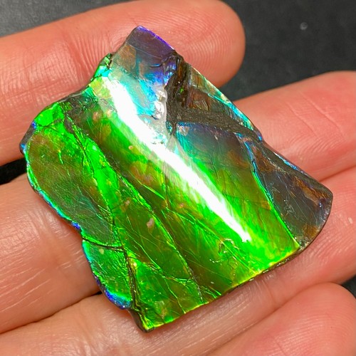 Canadian ammolite green - canadian,