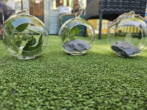 Set hanging glass - of,