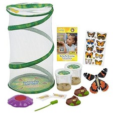 Insect Lore Butterfly Garden