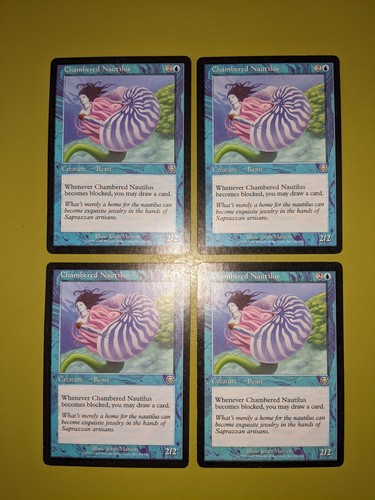Chambered nautilus - nautilus, x4
