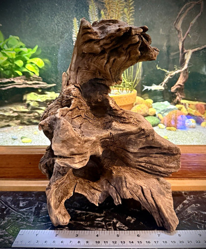 Large natural aquarium - large,