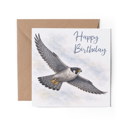 Peregrine falcon greeting - falcon,