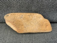 Fossil Whale Bone Section