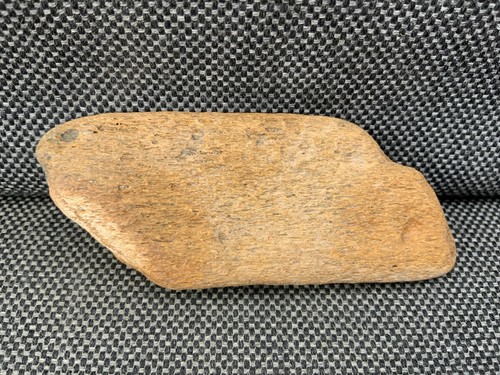 Fossil whale bone - fossil,
