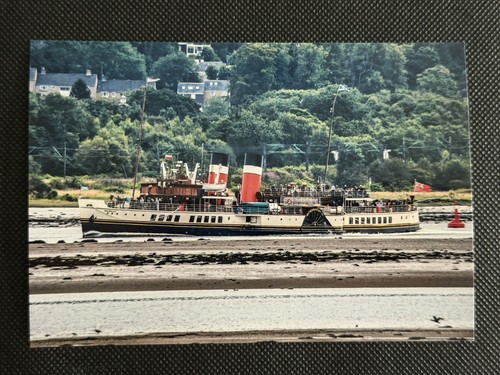 6x4 print paddle - paddle, steamer