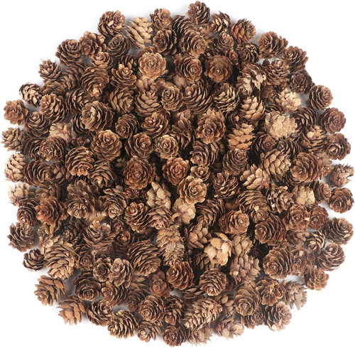 240pcs mini pine cone - 240pcs,