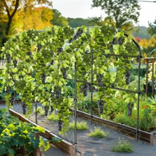 Extra tall garden - tall,